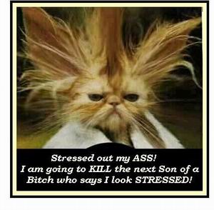 Resize of STRESS.jpg